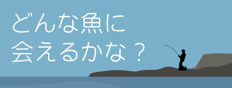 どんな魚に会えるかな？